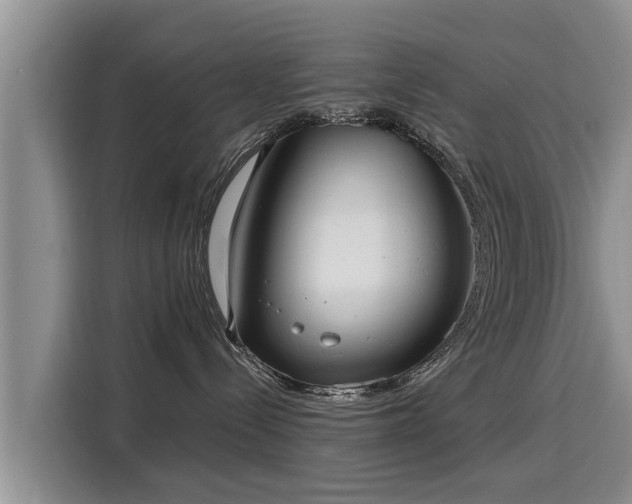 X0000116040288200911271204