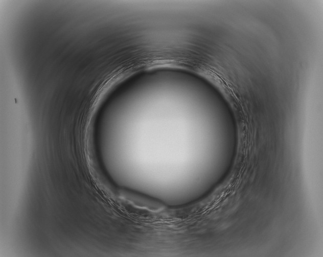 X0000116040289200911271203