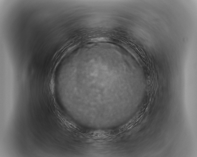 X0000116040290200911271203