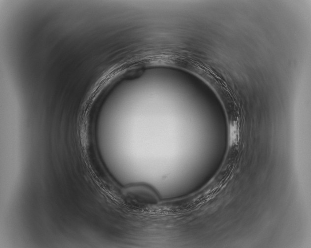 X0000116040291200911271203