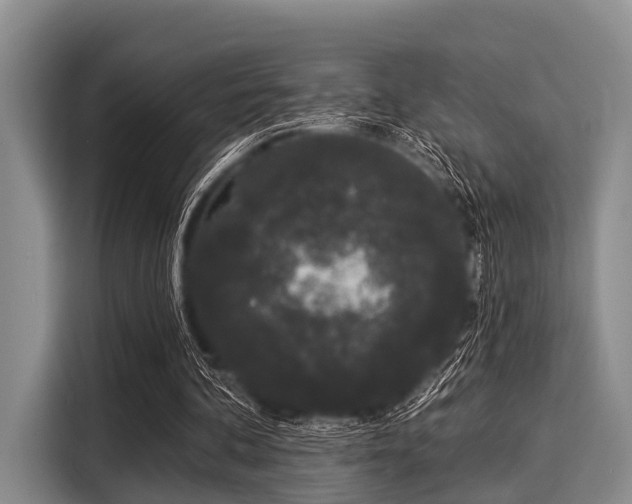 X0000116040292200911271203