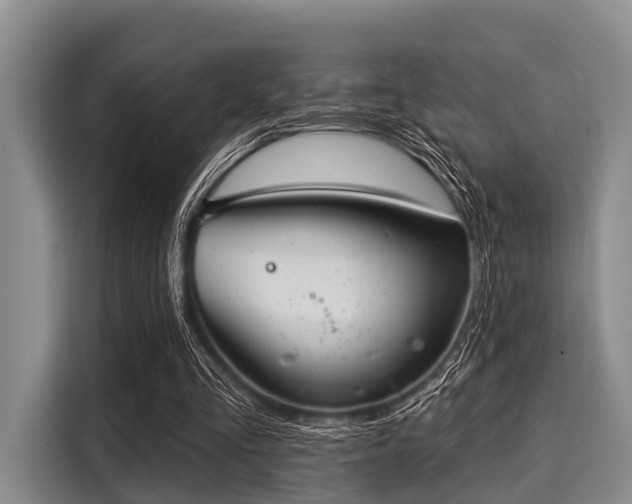 X0000116040293200911271203