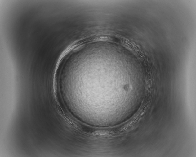 X0000116040294200911271203