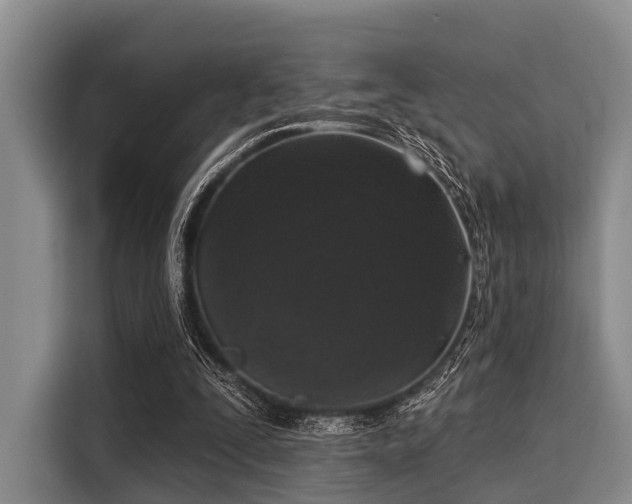 X0000116040295200911271203