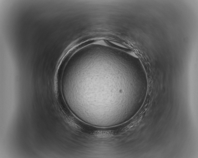 X0000116040296200911271203