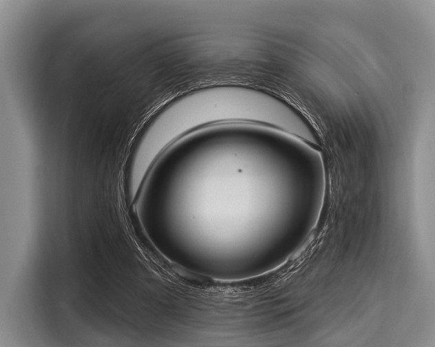 X0000116040297200911271203