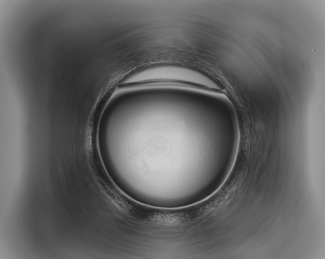 X0000116040299200911271203