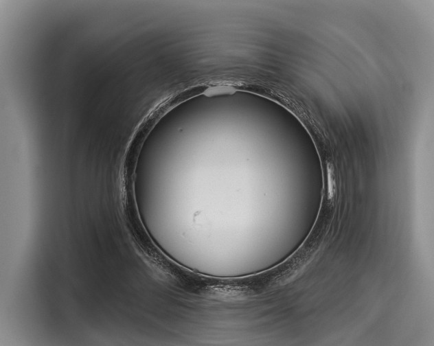 X0000116040300200911271203