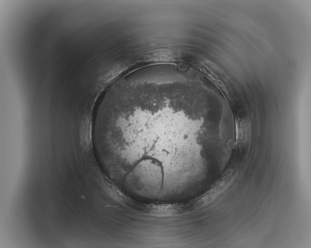 X0000116040301200911271203