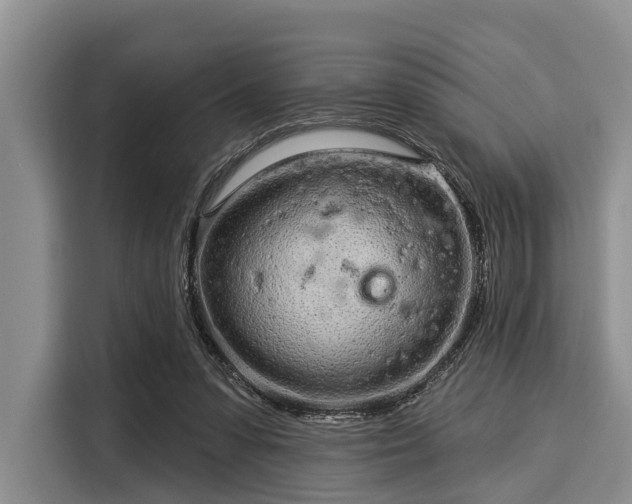 X0000116040303200911271203