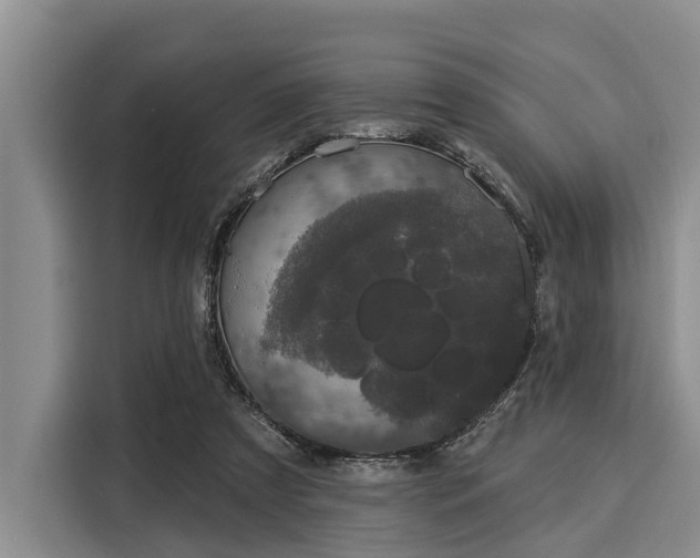 X0000116040305200911271203