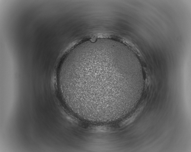 X0000116040306200911271203