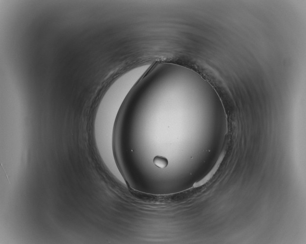 X0000116040308200911271203