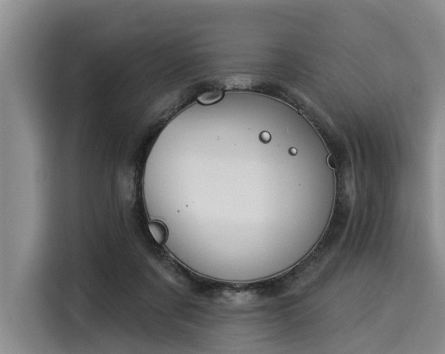 X0000116040311200911271203