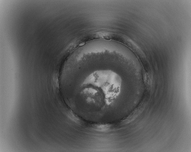 X0000116040313200911271203