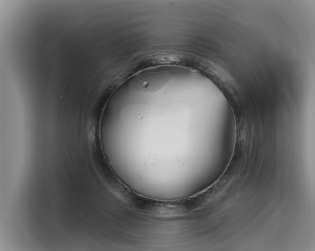 X0000116040315200911271203