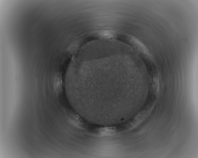 X0000116040320200911271203