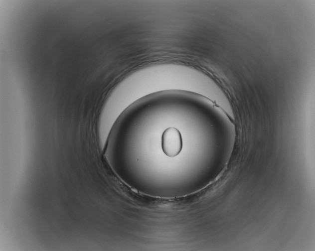 X0000116040325200911271203