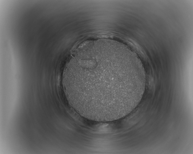 X0000116040326200911271203