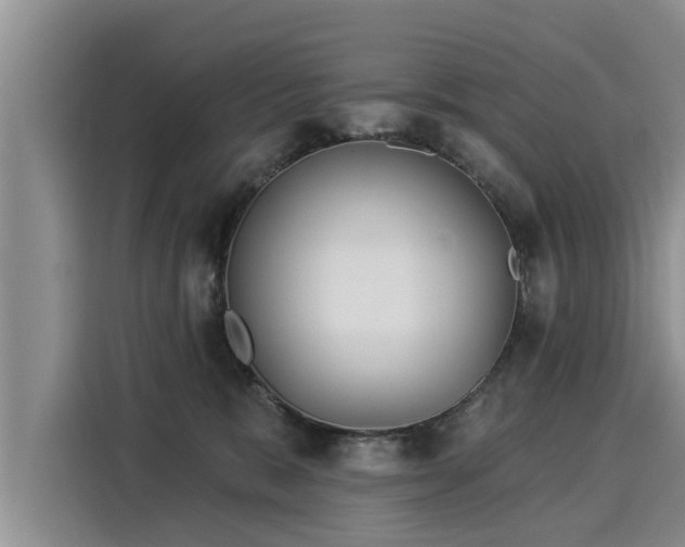 X0000116040327200911271203