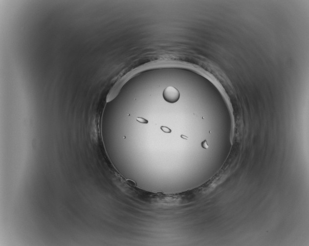 X0000116040329200911271203