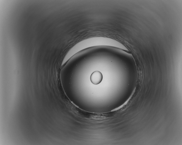 X0000116040331200911271203