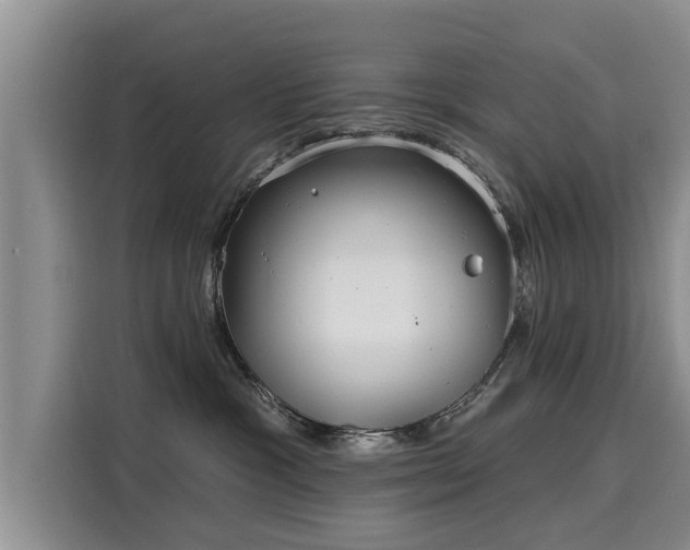 X0000116040333200911271203