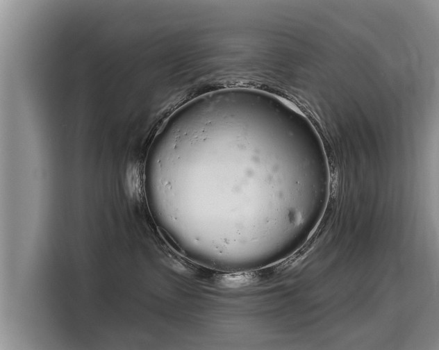 X0000116040335200911271203