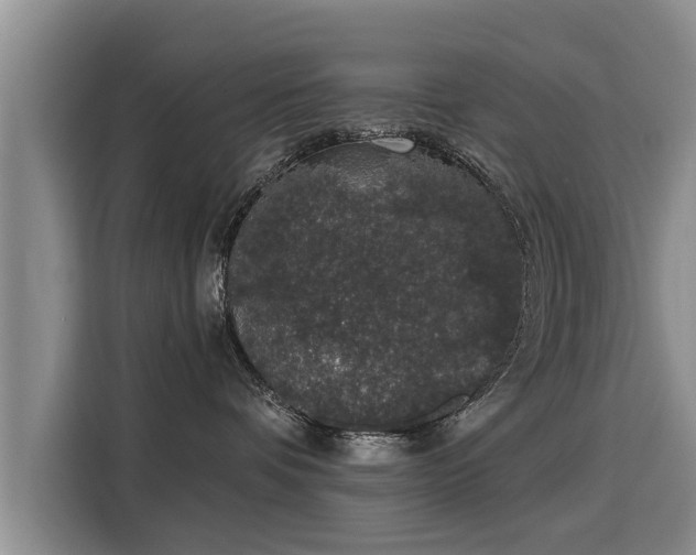 X0000116040336200911271203