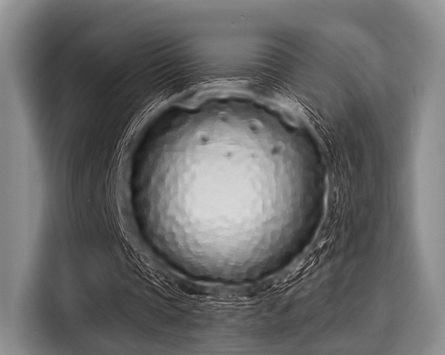 X0000116040337200911271202