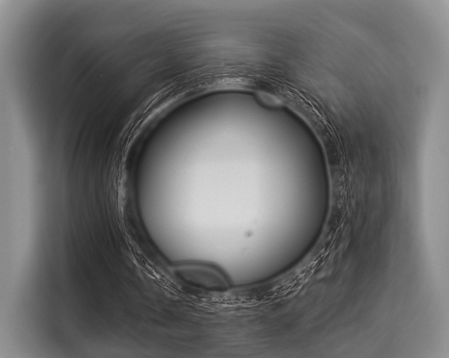 X0000116040338200911271202