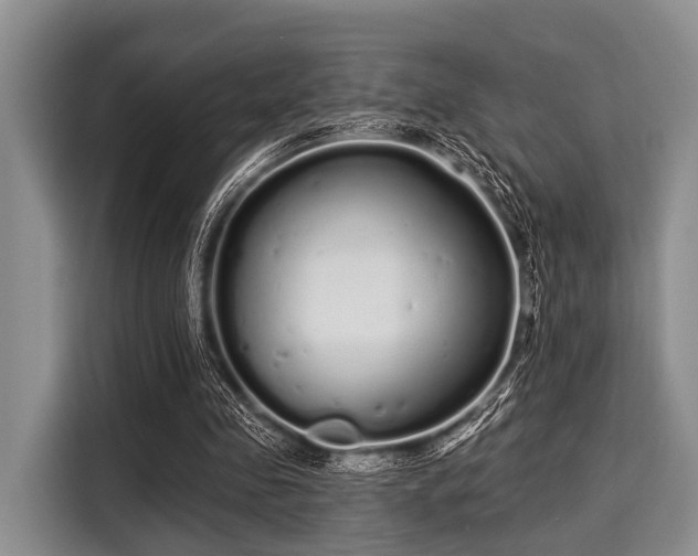 X0000116040341200911271202