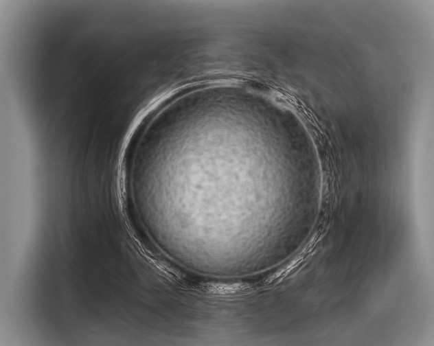 X0000116040342200911271202