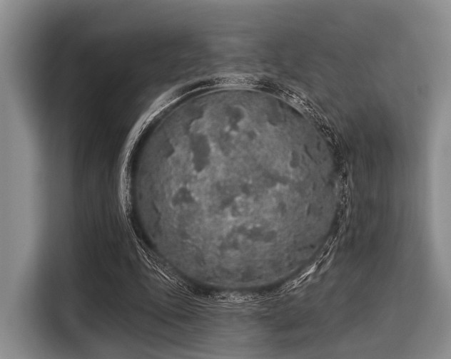 X0000116040343200911271202