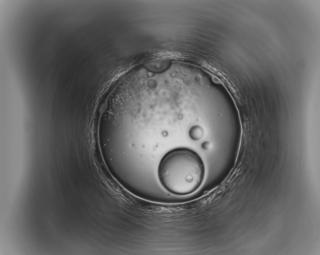 X0000116040345200911271202