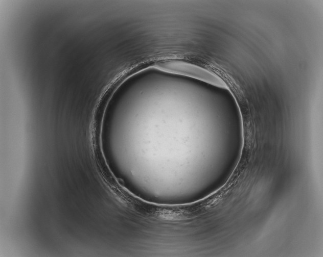 X0000116040346200911271202