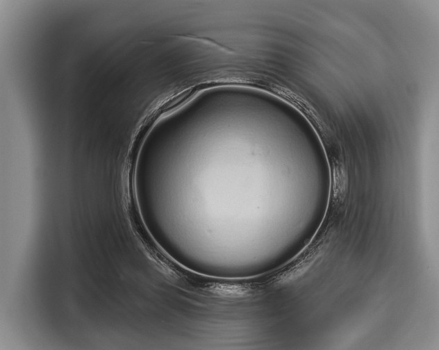 X0000116040349200911271202