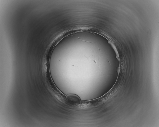 X0000116040350200911271202