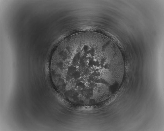 X0000116040353200911271202