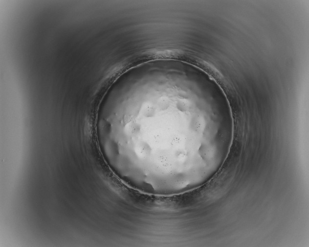 X0000116040357200911271202