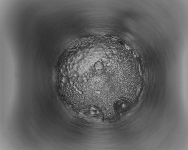 X0000116040359200911271202