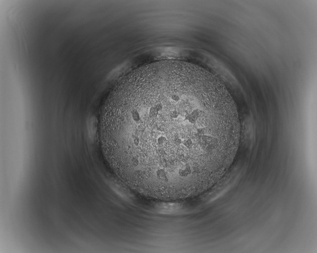 X0000116040361200911271203