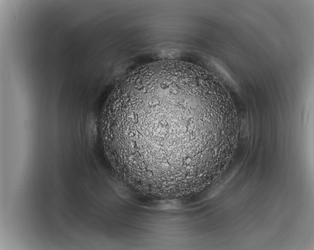 X0000116040363200911271203