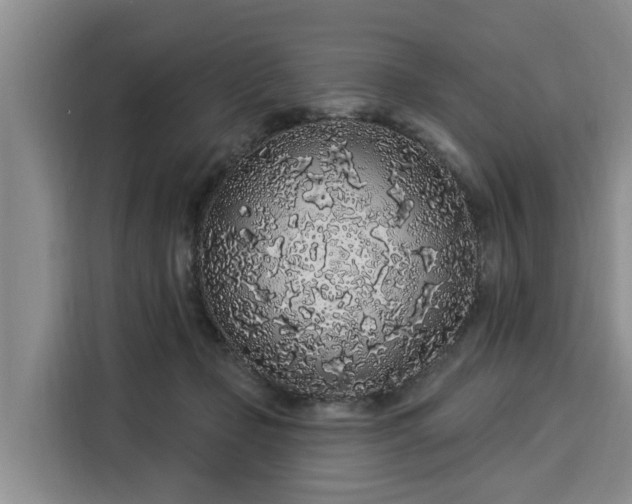 X0000116040365200911271203