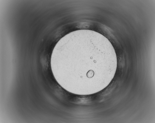 X0000116040370200911271203