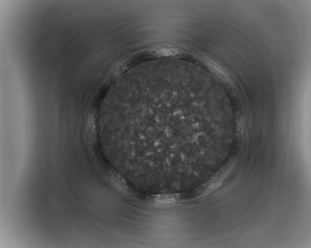 X0000116040373200911271203