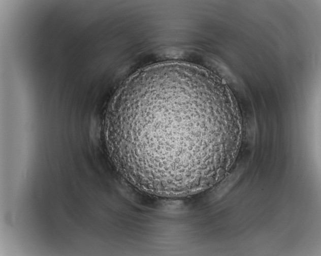 X0000116040374200911271203