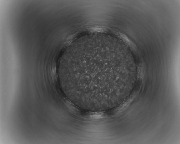 X0000116040377200911271203