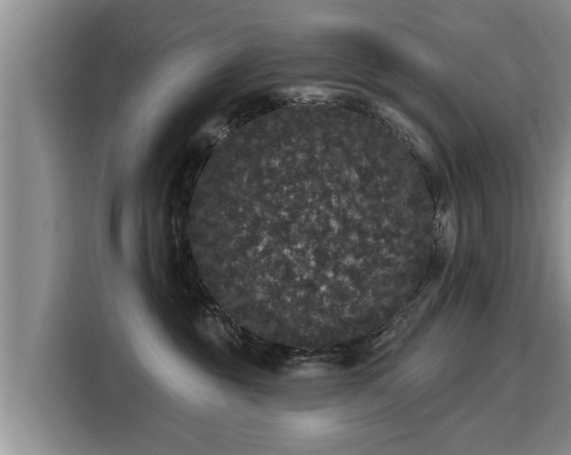 X0000116040381200911271203