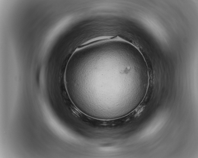 X0000116040383200911271203